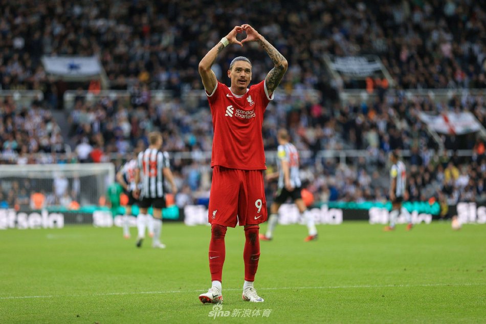 他们的焦虑 他们的焦虑